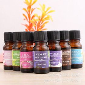 Aromita Essential Oil Wellness 6-Packs in 2 Styles (Pack of 1)