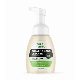 Foaming Hand Cleaner (Pack of 1)
